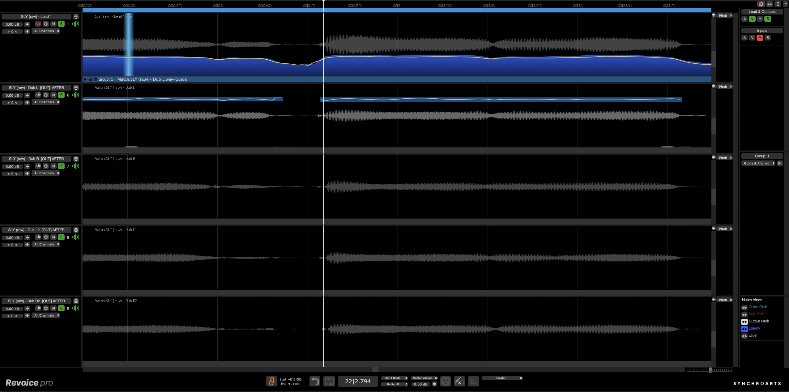 Revoice Pro 5 永久版