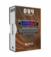 Duy31