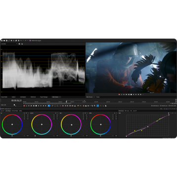 VEGAS Pro Suite 22 Upgrade