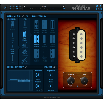 Blue Cat Re-Guitar