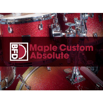 Maple Custom Absolute