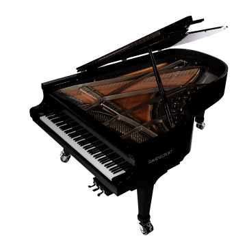 RavenscroftÂ® 220 VI Lite