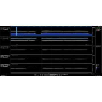 Revoice Pro 5 永久版