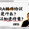 ARA插件协议是什么 ？