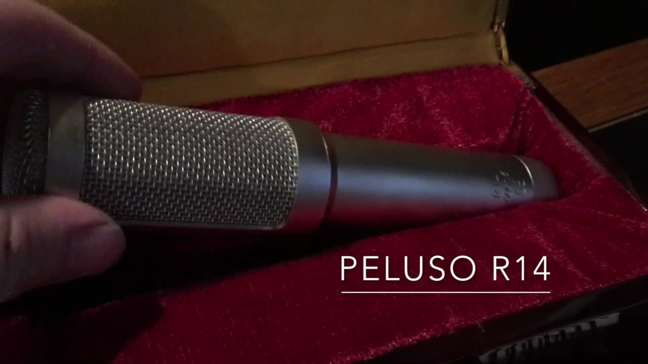 Peluso R14 铝带话筒演示 - Jesse Ray Shelby